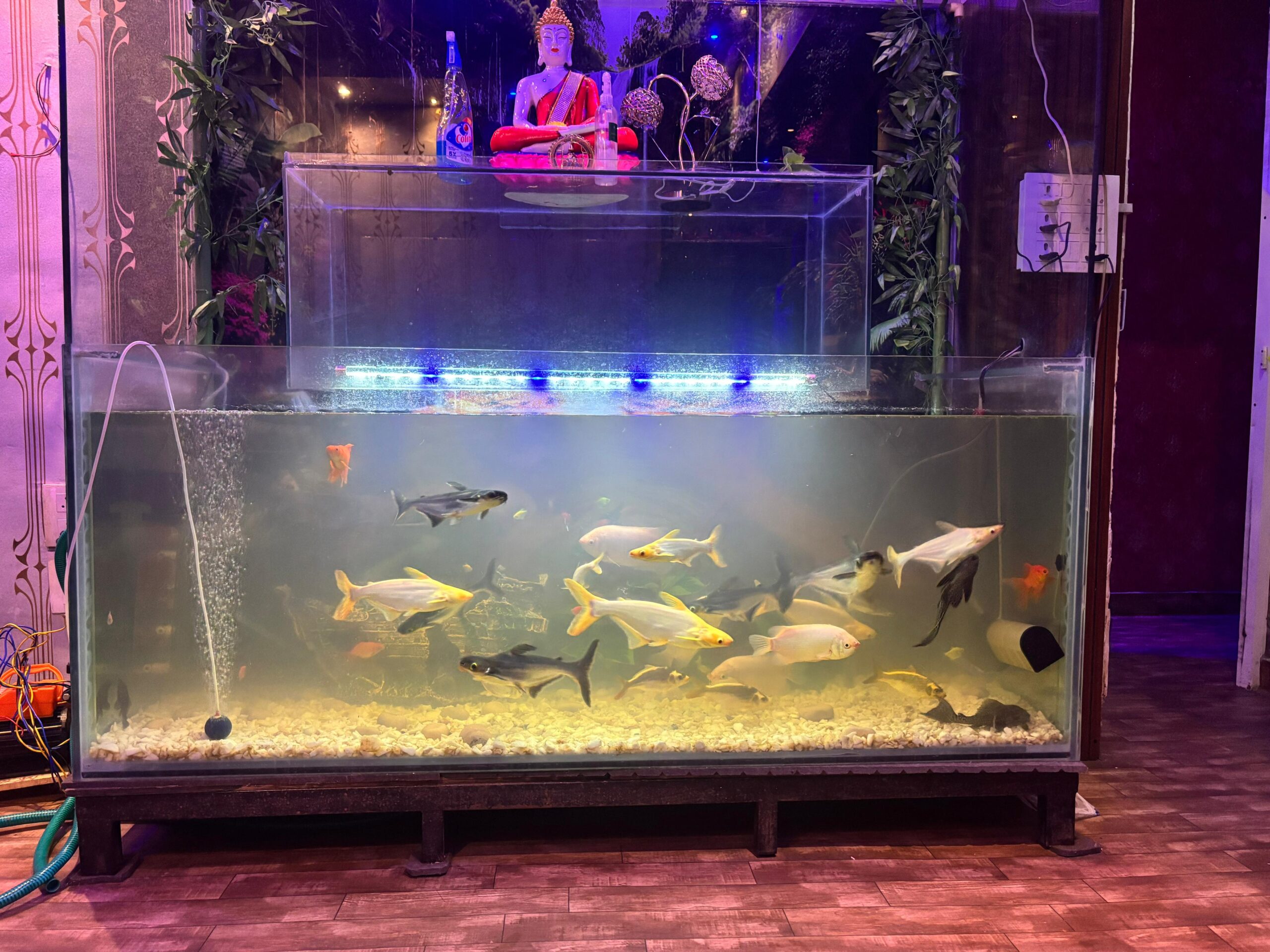 whatsapp image 2025 09 24 at 8.21.20 pm (1)